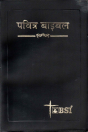 Holy Bible - (Hindi) Re edited